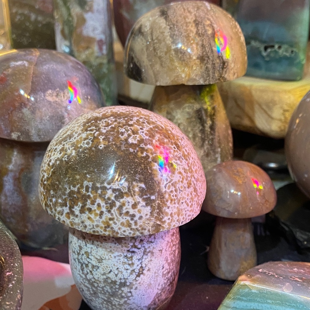 Unlisted live show Polished Stone Mushroom